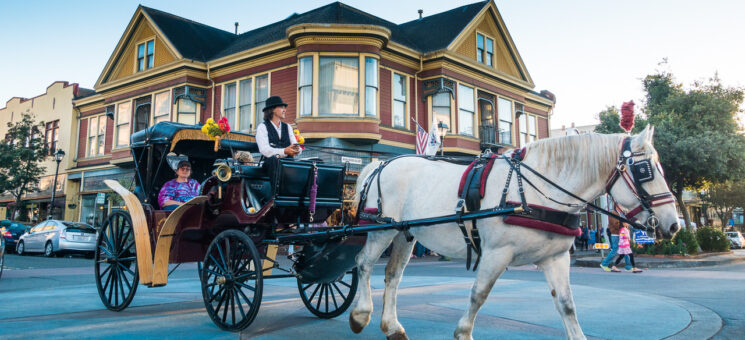 Photo of Old Town Carriage Company