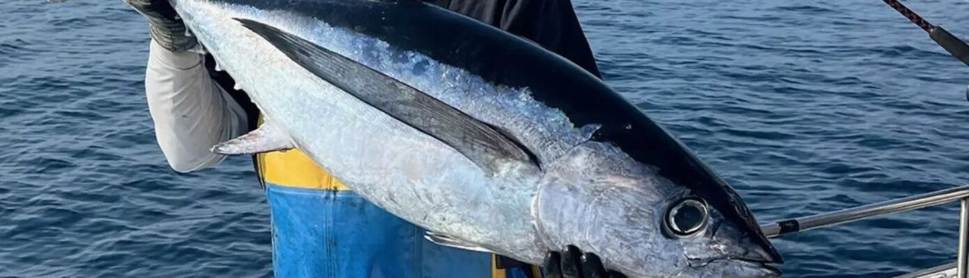 Photo of a man with a large fish on Northwind Charters