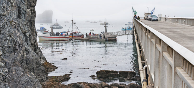 Photo of fishing vessels on the Trinidad Bay
