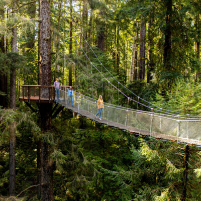 Photo of visitors on the Redwood Skywalk at Sequoia Park Zoo
