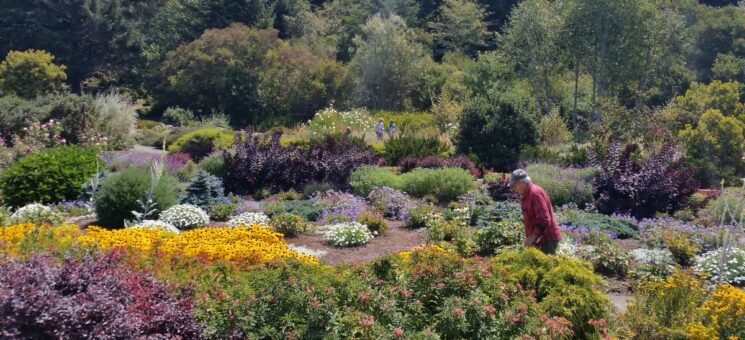 Photo of the Humboldt Botanical Garden