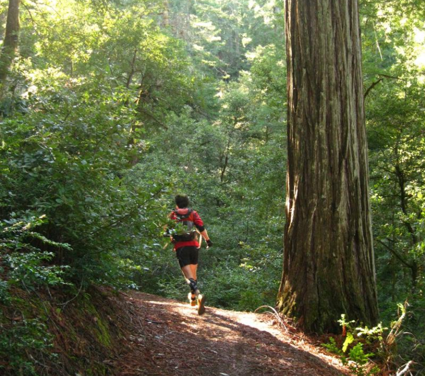 Grasshopper Peak Redwood Run