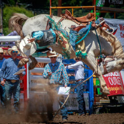 Fortuna Rodeo